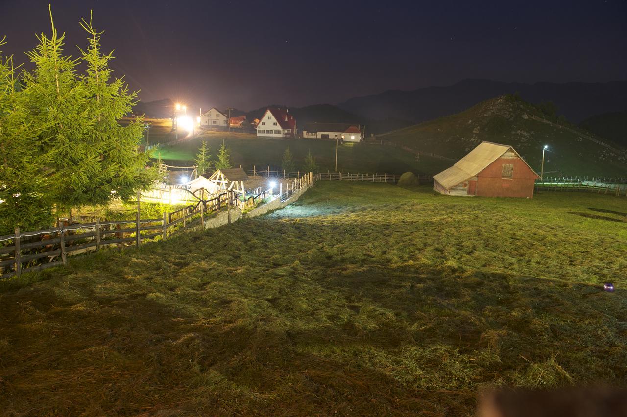 Complex Padina Ursului ฟุนดาตา ภายนอก รูปภาพ